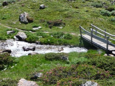 Alpenrose Aparthotel Martello Εξωτερικό φωτογραφία